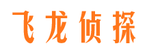 安定市私家侦探